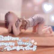 ヒメ日記 2025/09/24 09:24 投稿 あくあ アラモード