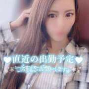 あくあ 🩵🗓️2月前半🩵 アラモード