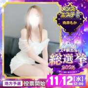 ヒメ日記 2025/11/11 11:02 投稿 向井もか マダムと紳士