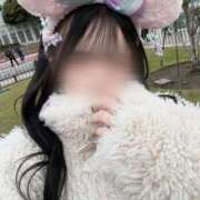 ヒメ日記 2025/02/22 13:45 投稿 ゆうか CECIL