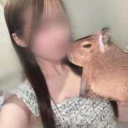 ゆうか お気に入り CECIL