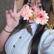 ヒメ日記 2025/06/24 11:40 投稿 ユン バニーコレクション新潟店