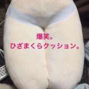 ヒメ日記 2025/03/11 19:42 投稿 せいか 桜フェアリーテイル