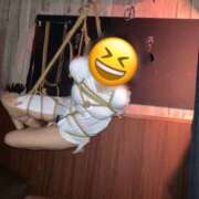 ヒメ日記 2025/03/16 20:00 投稿 せいか 桜フェアリーテイル