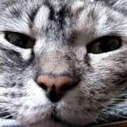 ヒメ日記 2025/03/15 07:11 投稿 かなで 脱がされたい人妻 町田・相模原店