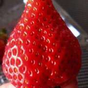 ヒメ日記 2025/04/14 20:38 投稿 かなで 脱がされたい人妻 町田・相模原店