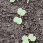 ヒメ日記 2025/04/26 13:00 投稿 かなで 脱がされたい人妻 町田・相模原店