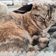 ヒメ日記 2025/04/30 18:31 投稿 かなで 脱がされたい人妻 町田・相模原店