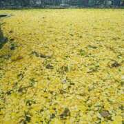 ヒメ日記 2025/05/22 20:18 投稿 かなで 脱がされたい人妻 町田・相模原店