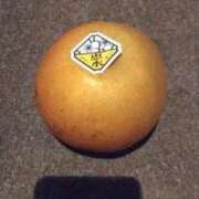 ヒメ日記 2025/09/13 10:41 投稿 かなで 脱がされたい人妻 町田・相模原店