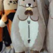 ヒメ日記 2025/09/14 12:05 投稿 かなで 脱がされたい人妻 町田・相模原店