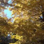 ヒメ日記 2025/11/21 18:40 投稿 かなで 脱がされたい人妻 町田・相模原店