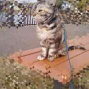 ヒメ日記 2025/12/11 12:28 投稿 かなで 脱がされたい人妻 町田・相模原店