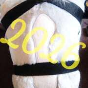 かなで あけましておめでとうございます 脱がされたい人妻 町田・相模原店