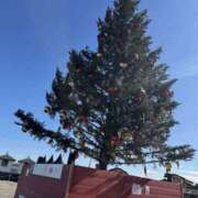 ヒメ日記 2025/12/25 08:50 投稿 かなえ 新大阪秘密倶楽部