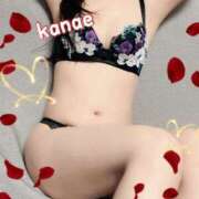 かなえ 出勤 新大阪秘密倶楽部