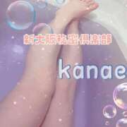 ヒメ日記 2026/02/15 08:45 投稿 かなえ 新大阪秘密倶楽部