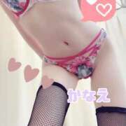 ヒメ日記 2026/02/24 20:00 投稿 かなえ 新大阪秘密倶楽部