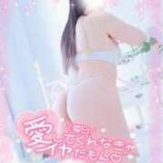 ヒメ日記 2025/05/03 16:57 投稿 おうか 逢って30秒で即尺