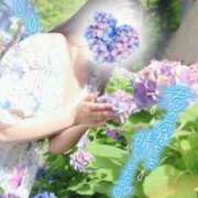 ヒメ日記 2025/06/01 15:01 投稿 おうか 逢って30秒で即尺