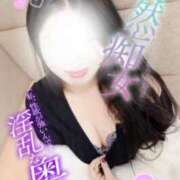 ヒメ日記 2025/08/24 19:02 投稿 おうか 逢って30秒で即尺