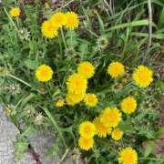 ヒメ日記 2025/04/18 10:34 投稿 なつ しろわい 仙台店