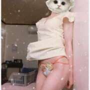 ヒメ日記 2025/01/16 21:22 投稿 りさ ミラー