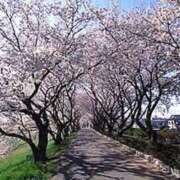 ヒメ日記 2025/03/26 08:34 投稿 りさ ミラー