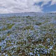 ヒメ日記 2025/05/10 08:19 投稿 りさ ミラー