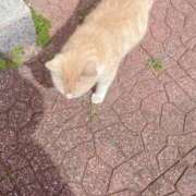 ヒメ日記 2026/03/14 08:26 投稿 りさ ミラー