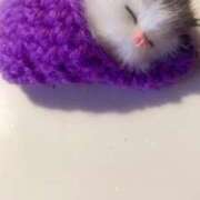 ヒメ日記 2026/03/22 23:47 投稿 りさ ミラー