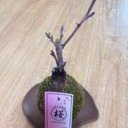 ヒメ日記 2026/03/28 08:28 投稿 りさ ミラー