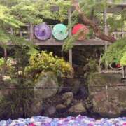 ヒメ日記 2026/07/01 08:15 投稿 りさ ミラー