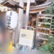 ヒメ日記 2024/12/11 12:16 投稿 さくら ミラー