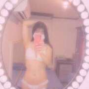 ヒメ日記 2024/12/31 11:59 投稿 さくら ミラー