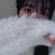 ヒメ日記 2025/01/05 11:53 投稿 さくら ミラー