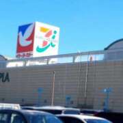 ヒメ日記 2025/02/24 14:53 投稿 さくら ミラー