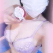 ヒメ日記 2025/03/13 10:56 投稿 さくら ミラー