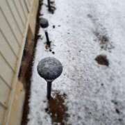 ヒメ日記 2025/03/19 11:13 投稿 さくら ミラー