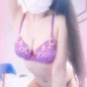 ヒメ日記 2025/03/31 11:32 投稿 さくら ミラー