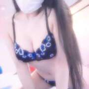 ヒメ日記 2025/04/28 10:26 投稿 さくら ミラー