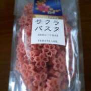 ヒメ日記 2025/05/19 11:10 投稿 さくら ミラー