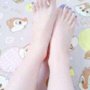 ヒメ日記 2025/07/17 09:40 投稿 さくら ミラー