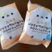 ヒメ日記 2025/10/30 11:21 投稿 さくら ミラー