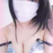 ヒメ日記 2025/12/31 11:31 投稿 さくら ミラー