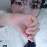 ヒメ日記 2026/01/28 10:46 投稿 さくら ミラー