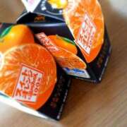 ヒメ日記 2026/02/08 11:51 投稿 さくら ミラー