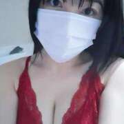 ヒメ日記 2026/02/26 10:40 投稿 さくら ミラー