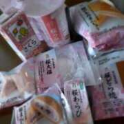 ヒメ日記 2026/03/23 11:08 投稿 さくら ミラー