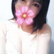 ヒメ日記 2026/04/06 10:45 投稿 さくら ミラー